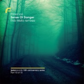 Sense of Danger (No Ears Vocal) [feat. Shara Nelson] artwork
