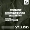 Promise (feat. Harvey Miller) - Single album lyrics, reviews, download