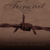 Funeral - This Barren Skin