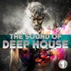The Sound of Deep House, Vol. 1 (Selected House Grooves), 2014