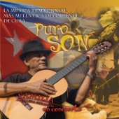 Puro Son (En Vivo) artwork