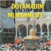 Ali Ercan - Doyamadım Muhammed'e