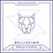 Bellissima - Balthazar lyrics