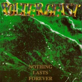 Nothing Lasts Forever (Remastered) artwork