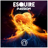 Passion (Radio Edit) artwork