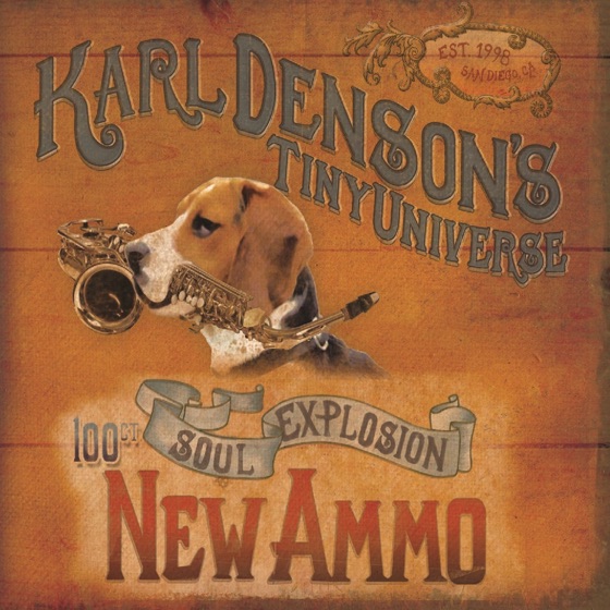 Cover artwork for New Ammo