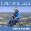 David Sheehy - The Best Way I Know How