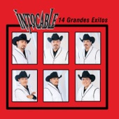 Intocable: 14 Grandes Éxitos artwork