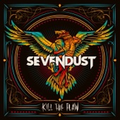 Kill the Flaw cover