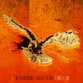 The Airborne Toxic Event - Timeless