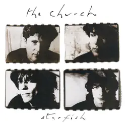 Starfish - The Church