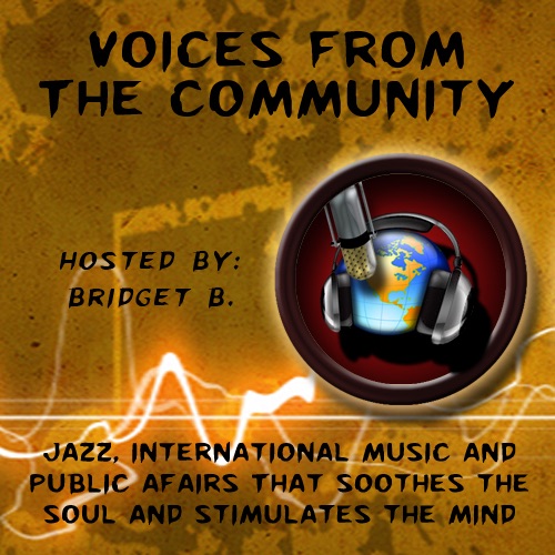 Voices From The Community cover