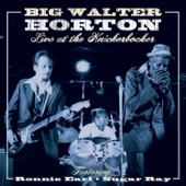 Big Walter Horton - Walter's Shuffle - Live