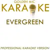 Evergreen (In the Style of Barbara Streisand) [Karaoke Version] song lyrics