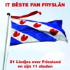 It bêste fan Fryslân