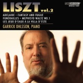 Franz Liszt: Volume 2 artwork