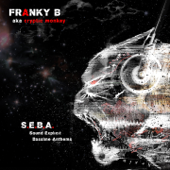 S.E.B.A. (Sound Explicit Bassline Anthems) - Franky B aka Cryptic Monkey