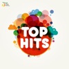 Top Hits, 2014