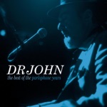 Dr. John - It Don't Mean a Thing (If It Ain't Got That Swing)