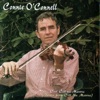 Connie O'Connell - Dan Cronin's, Fire In Clann Ratha