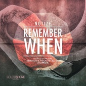 Remember When (Haze-M Remix) artwork