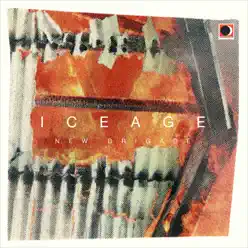 New Brigade - Single - Iceage