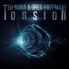 Torsion - Single album lyrics, reviews, download