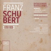 Schubert: Entdeckungen Bearbeitungen artwork