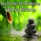 Ultimate Spa Day - Meditation Spa Society lyrics