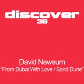 David Newsum - Sand Dune