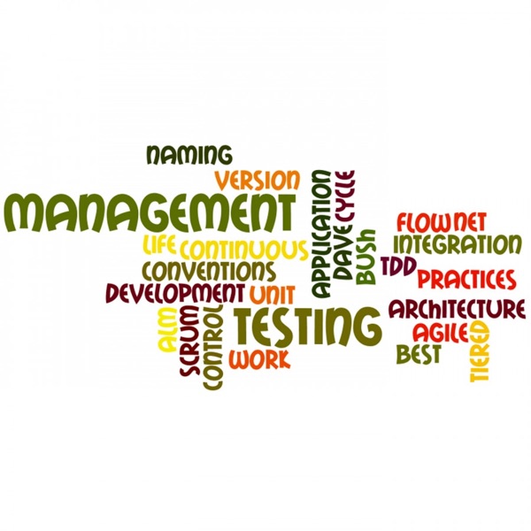 Application Lifecycle Management from DMB Consulting cover