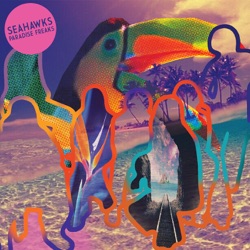 Seahawks - Didn’t Know I Was Lost