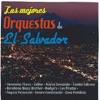 Las Mejores Orquestas de el Salvador, 2014
