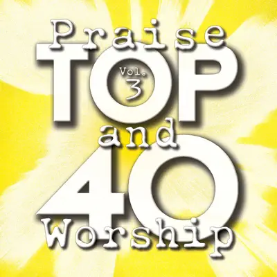 Top 40 Praise and Worship, Vol. 3 - Maranatha Praise Band