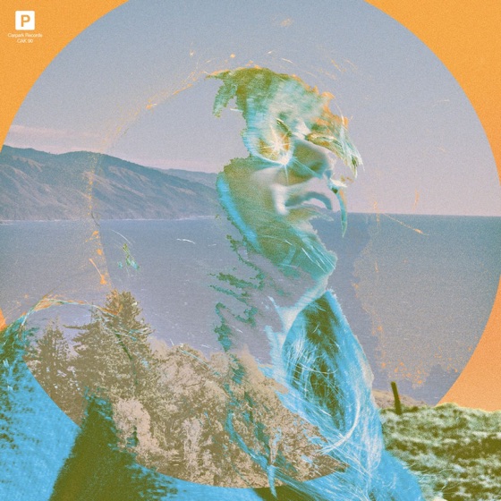 Cover artwork for Campo