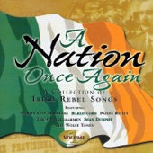 A Nation Once Again, Vol. 1 (A Collection of Irish Rebel Songs) artwork