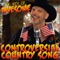 The Controversial Country Song - The Key of Awesome lyrics