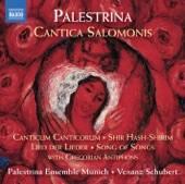 Palestrina: Cantica Salomonis artwork