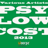 Psy Low Cost 2013 artwork