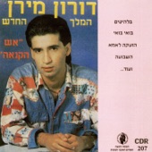 כואב הלב artwork