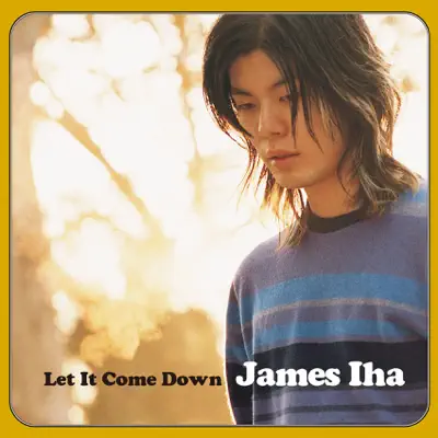 Let It Come Down - James Iha