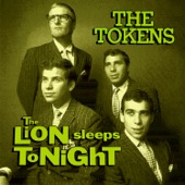 The Lion Sleeps Tonight artwork