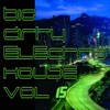 Big Dirty Electro House, Vol. 15, 2013