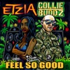 Feel So Good - Single