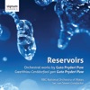 Reservoirs: Orchestral Works by Guto Pryderi Puw