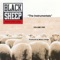 The Choice Is Yours (DJ Anointed) - Black Sheep lyrics