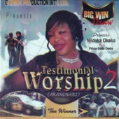 Testimonial Worship, Pt. 1 (feat. Prince Gozie Okeke) artwork