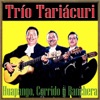 Trio Tariacuri - No Salgas Niña a la Calle (Huapango)