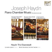 Haydn: Piano Chamber Music artwork