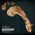 Bigfoot (Remixes) - Single album cover